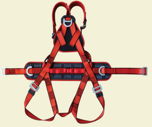 Profesyonel Tam Vücut